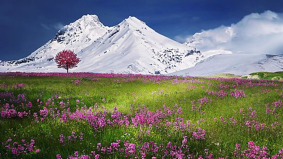 Spring